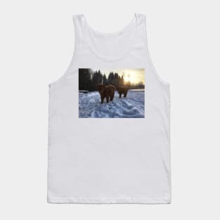 Scottish Highland Cattle Calves 1681 Tank Top